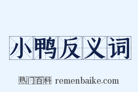 小鸭反义词是什么意思的图片